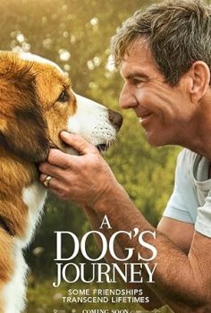 Bir Köpeğin Yolculuğu – A Dog’s Journey 2009