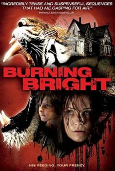 Kaplan Kapani – Burning Bright (2010)