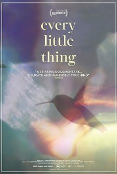 Carly Pearcenin Şarkısı – Every Little Thing