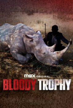 Boold Trophy  (2025)