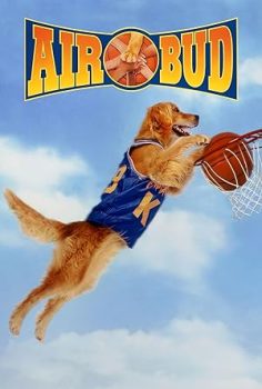 Sayı Kralı Buddy – Air Bud (1997)