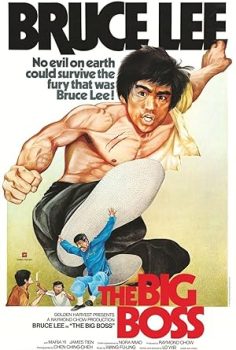 Büyük Patron – The Big Boss (1971)